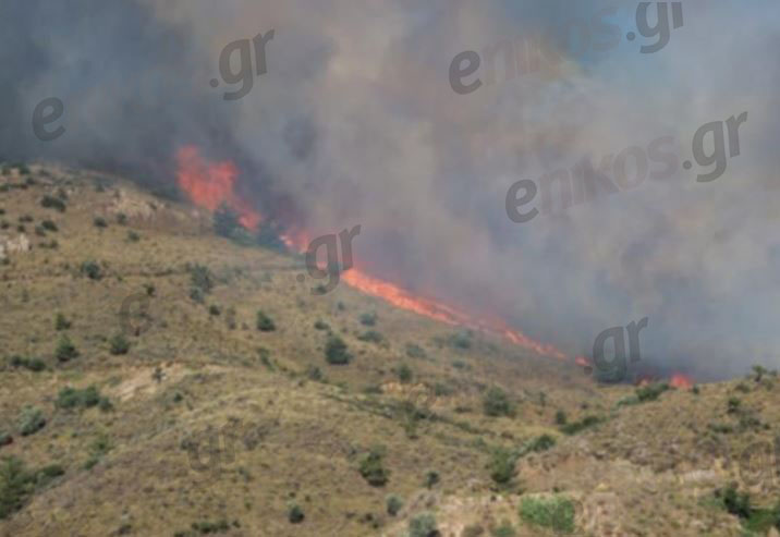Στείλε βίντεο ή φωτογραφίες στο enikos.gr – Αποθήκευσε τον αριθμό 6944 05 05 05