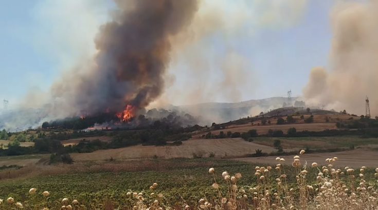 ΦΩΤΙΑ ΚΟΖΑΝΗ