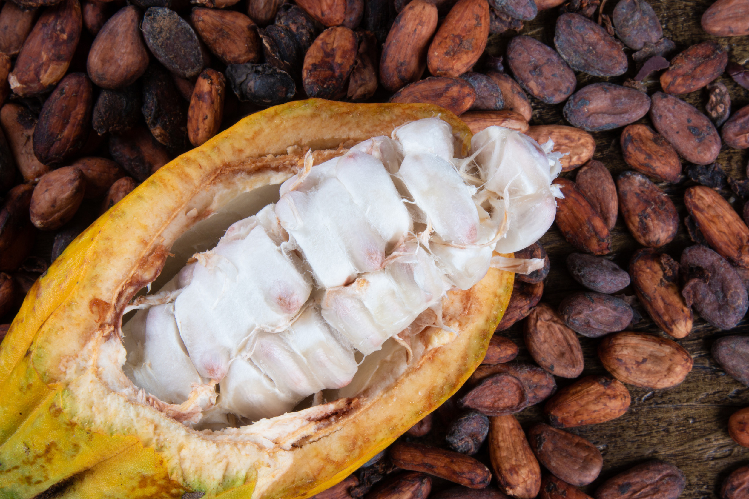 φρούτο του Αμαζονίου