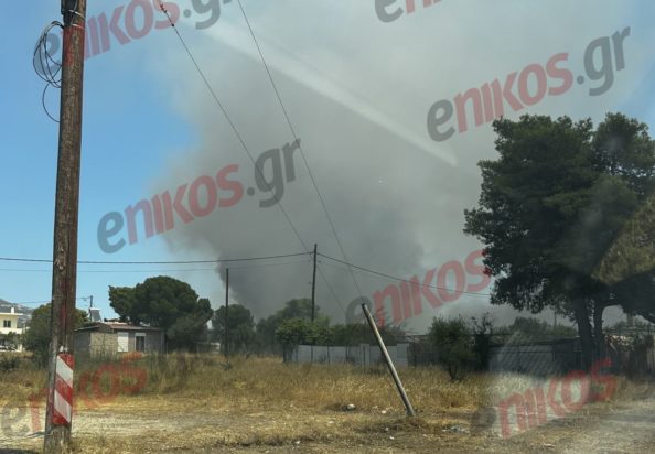 Φωτιά στο Μενίδι