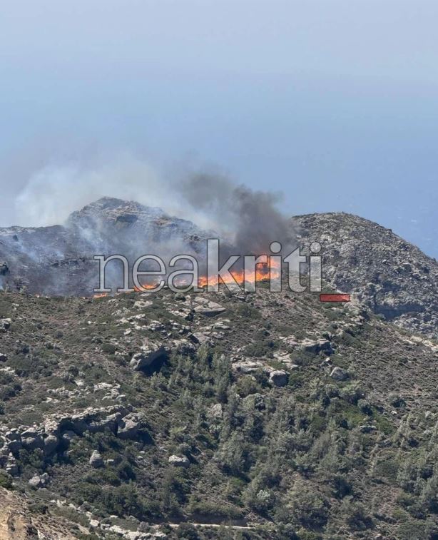 Φωτιά στην Ιεράπετρα: Χιλιάδες κάτοικοι και τουρίστες έχουν απομακρυνθεί – Δείτε νέες φωτογραφίες και βίντεο 