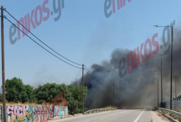 Μέγαρα φωτιά