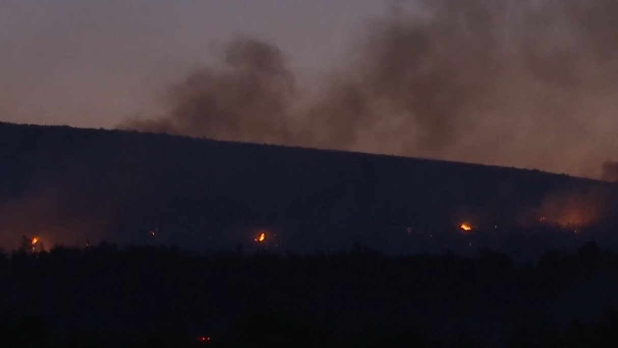 LIVE – Κόλαση φωτιάς στον Ωρωπό: Μάχη με τις αναζωπυρώσεις δίνουν οι πυροσβεστικές δυνάμεις – «Υπάρχει ένα κύριο μέτωπο νότια του Ασπροχωρίου» – ΦΩΤΟ και ΒΙΝΤΕΟ