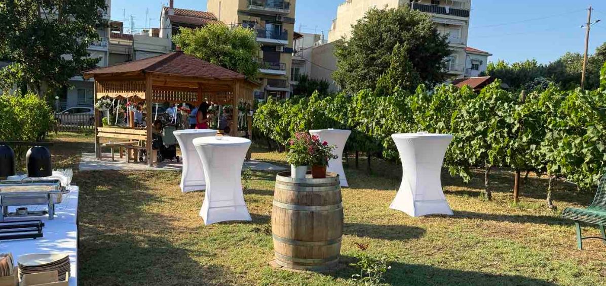 Θεσσαλονίκη: Ο πρώτος πολιτικός γάμος στον αστικό αμπελώνα του Δήμου Θεσσαλονίκης- Δείτε φωτογραφίες