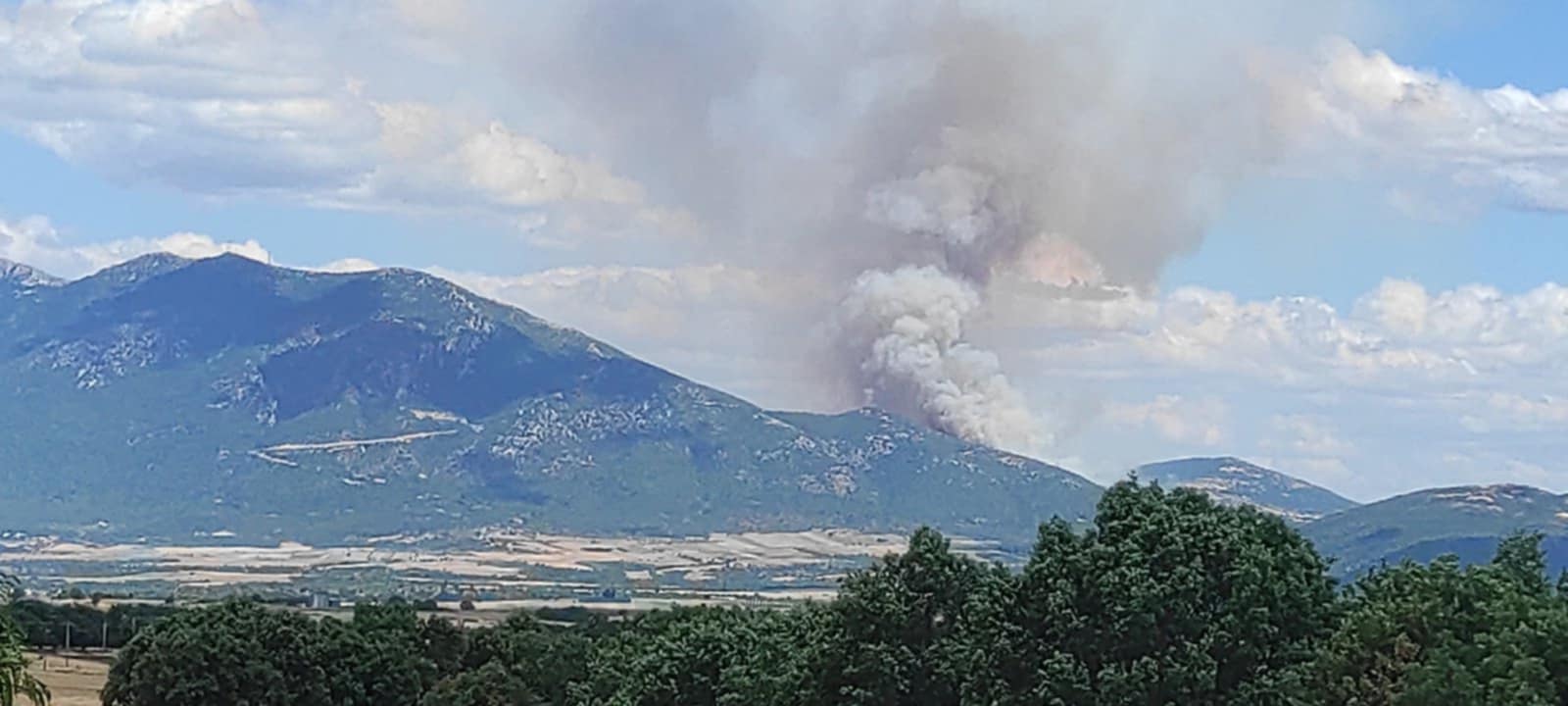 Φωτιά σε δασική έκταση στα Γρεβενά – Οι πρώτες εικόνες