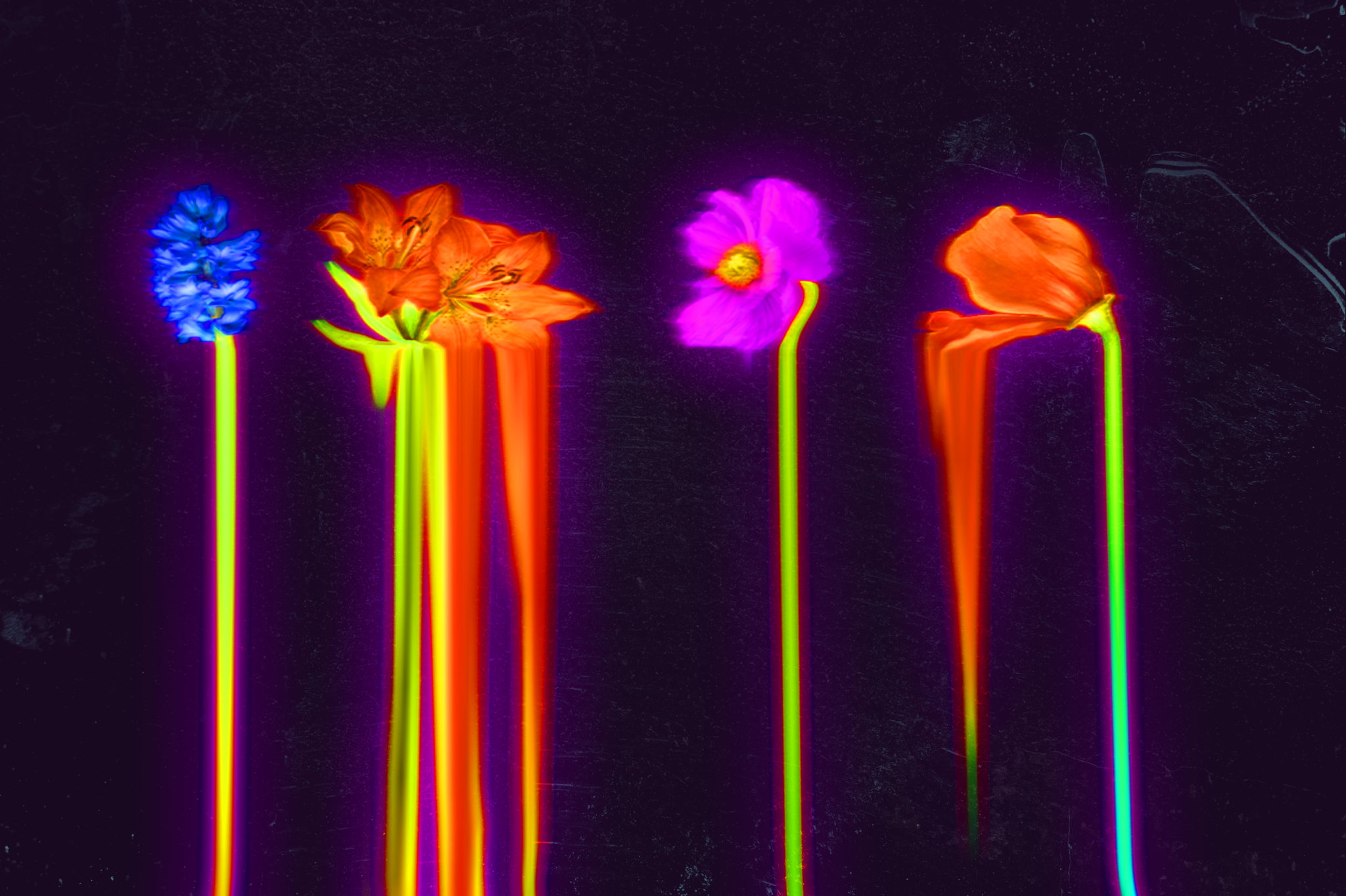 7 χρώματα που δεν πρέπει να έχετε σε εσωτερικό χώρο επειδή διαταράσσουν την ενέργεια - σύμφωνα με το Φενγκ Σούι. Φωτογραφία: Freepik