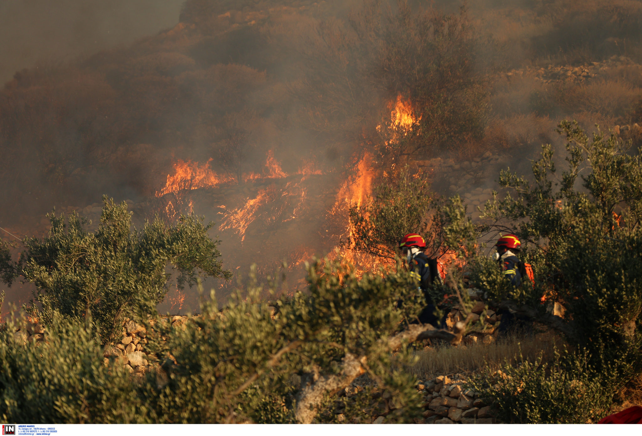 Ιεράπετρα, φωτιά, Λασίθι, Κρήτη