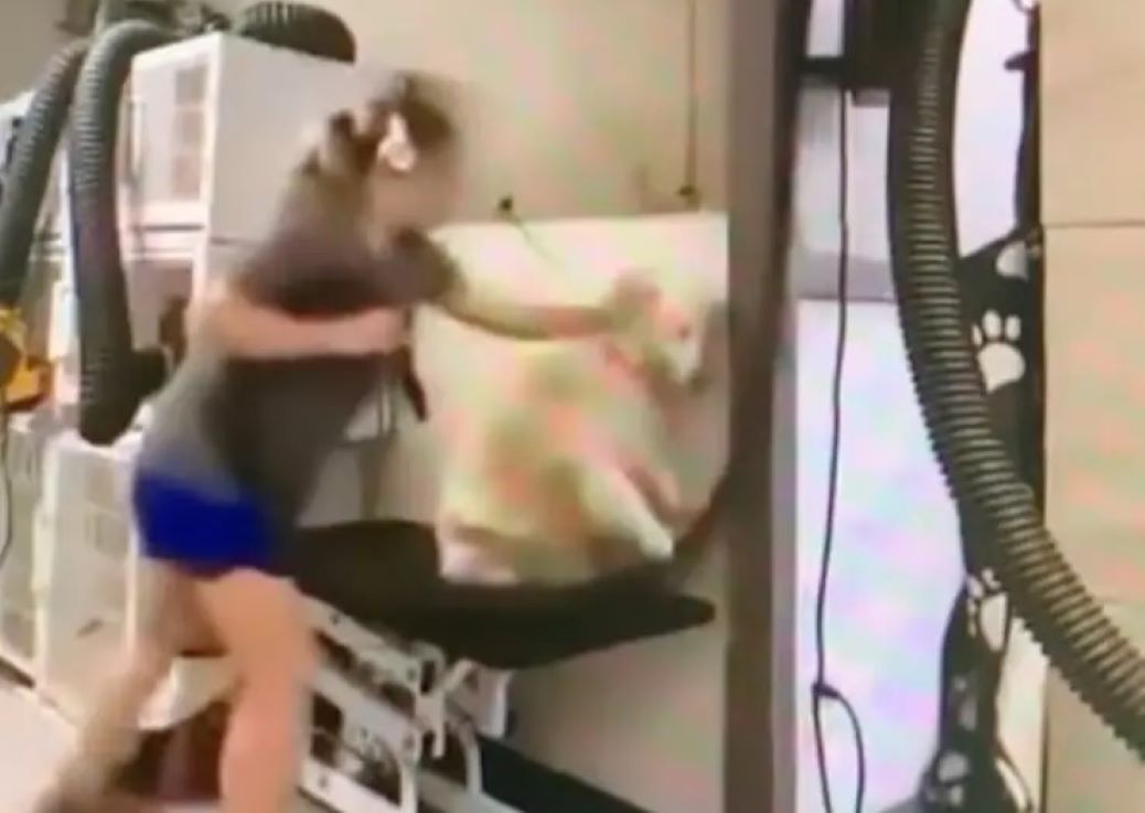 Βίντεο-σοκ: Κακοποίηση σκύλων από εργαζόμενη σε κομμωτήριο κατοικίδιων – Τα γρονθοκοπούσε και τα πετούσε στον τοίχο