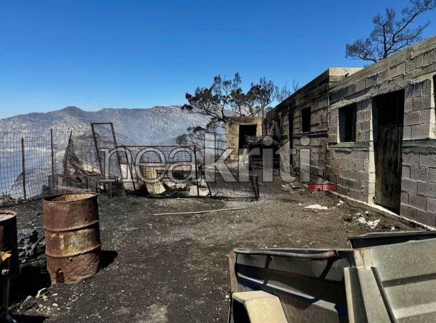 φωτιά, Κρήτη, Ιεράπετρα, Λασίθι, καμένα