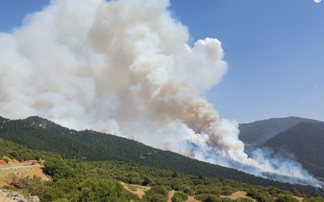 Φωτιά στην Κορινθία: Εκκενώνεται η περιοχή Καστανιά – Νέο μήνυμα από το 112 – ΦΩΤΟ και ΒΙΝΤΕΟ