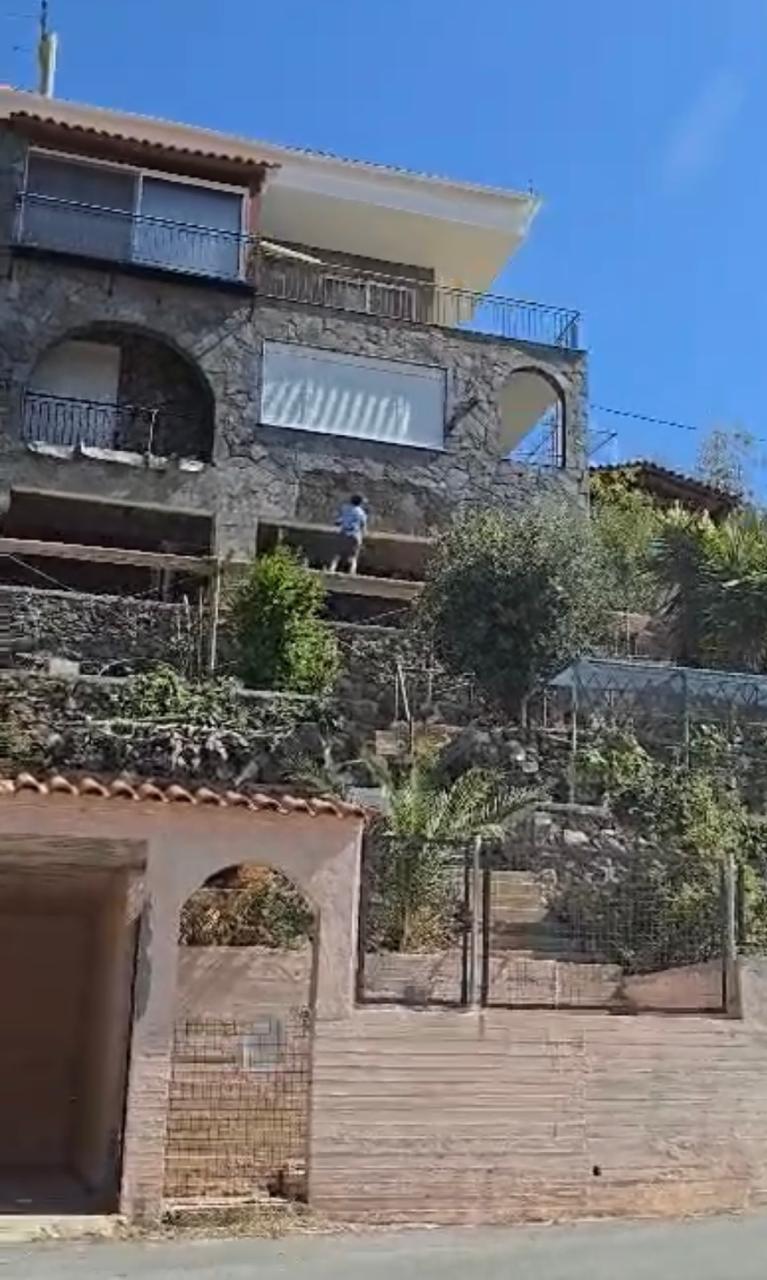 Κερατέα, Σύλληψη, ΔΑΕΕ