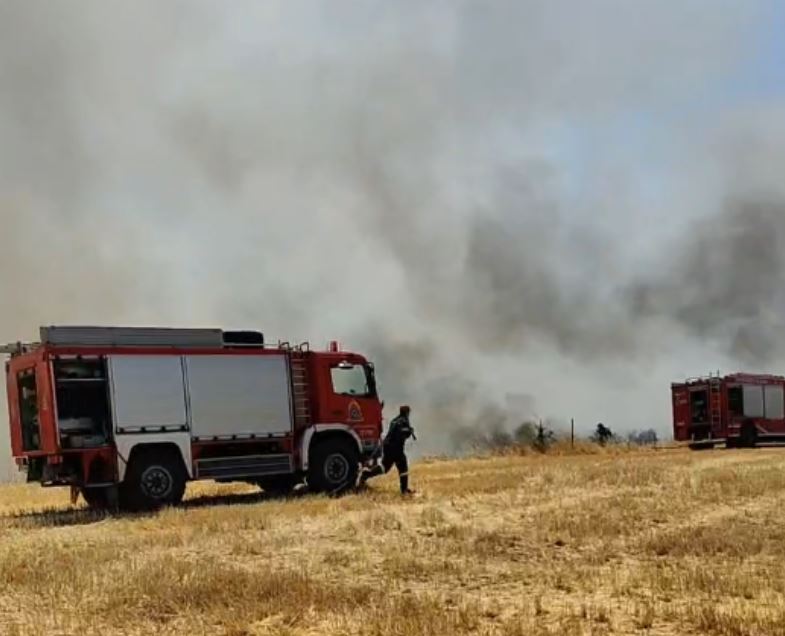 Φωτιά έξω από το Κιλκίς – Επιχειρούν και 2 εναέρια μέσα – BINTEO