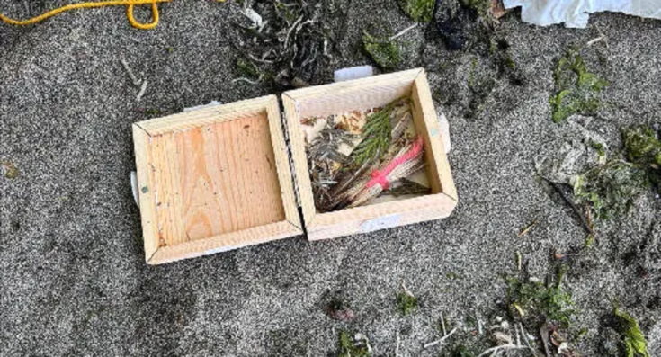 Το σάπιο δάχτυλο του ποδιού υποβάλλεται σε εξέταση DNA. Photo: Washington State Patrol