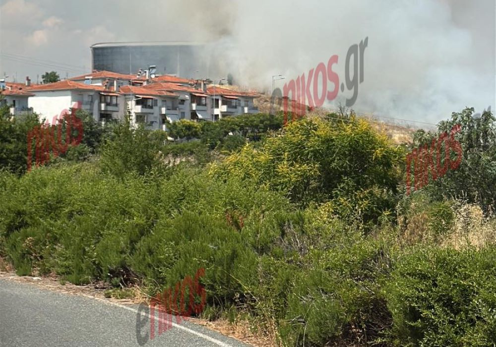 Σε ύφεση η φωτιά στην Κοζάνη – Ήχησε το 112, εκκενώθηκε το πανεπιστήμιο – Δείτε ΦΩΤΟ και ΒΙΝΤΕΟ