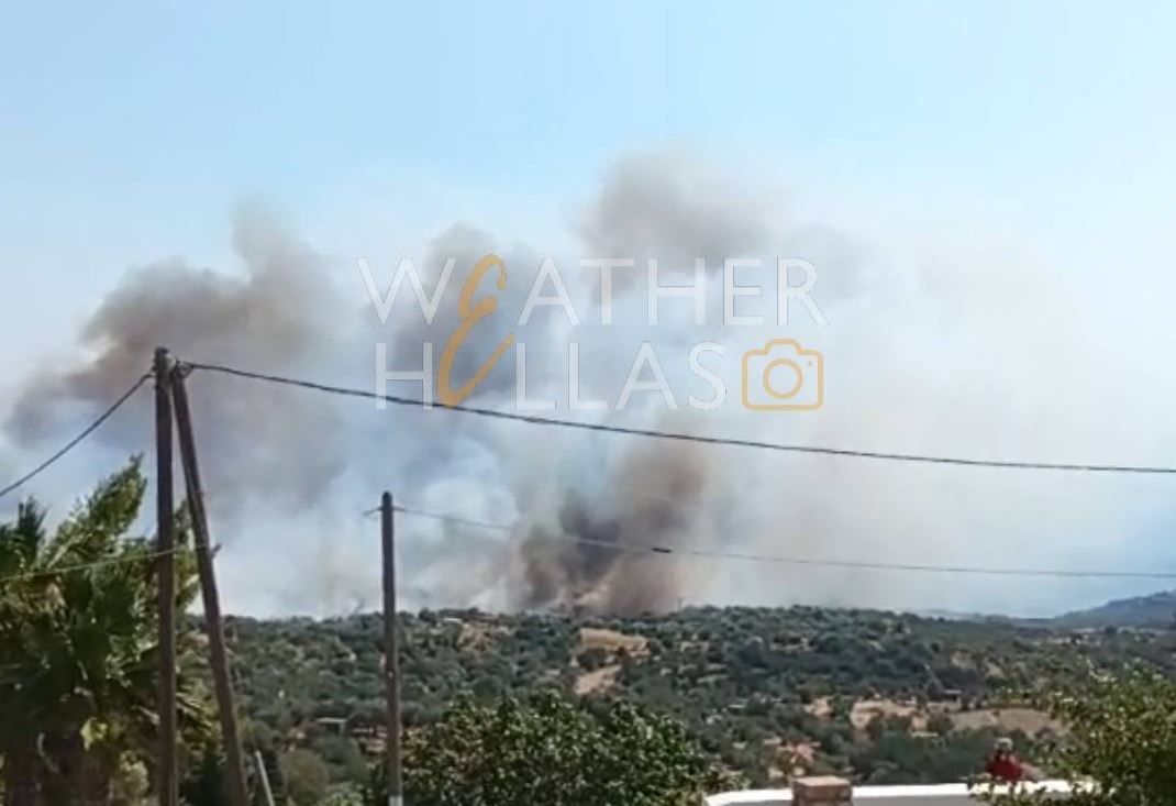 Φωτιά στη Λακωνία: Νέο μήνυμα του 112, εκκενώνεται η περιοχή Παλαιόκαστρο – «Απομακρυνθείτε προς Νεάπολη»