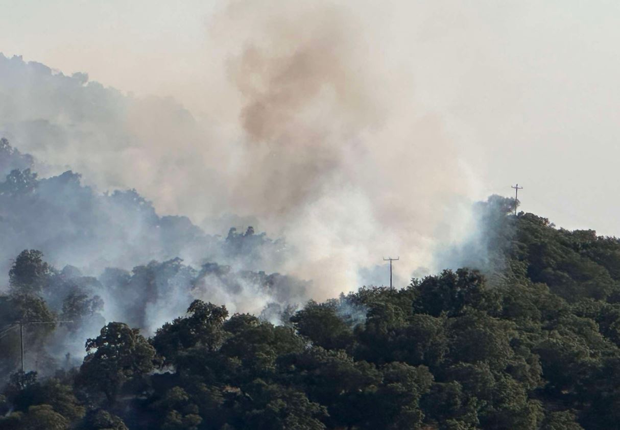Φωτιά στη Λέσβο: Ισχυροί άνεμοι δυσκολεύουν την κατάσβεση – Στη «μάχη» και 4 εναέρια μέσα – ΦΩΤΟ και ΒΙΝΤΕΟ 