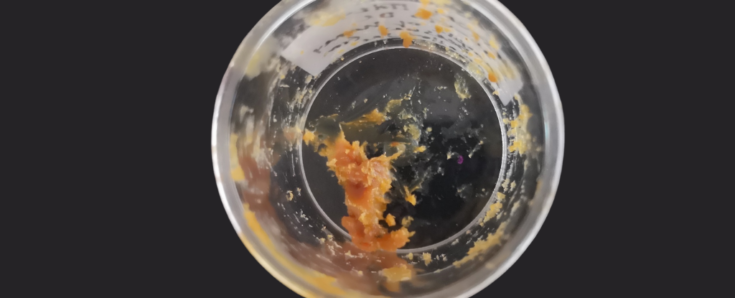 Η προσφορά στους θεούς. Φωτογραφία: Luciana da Costa Carvalho