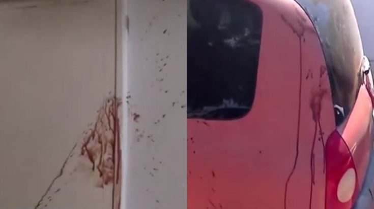 Μέγαρα, 37χρονος, μαχαίρι