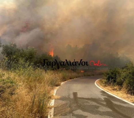 Μεσσηνία φωτιά