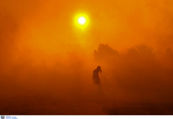 φωτιά Μεσσηνία