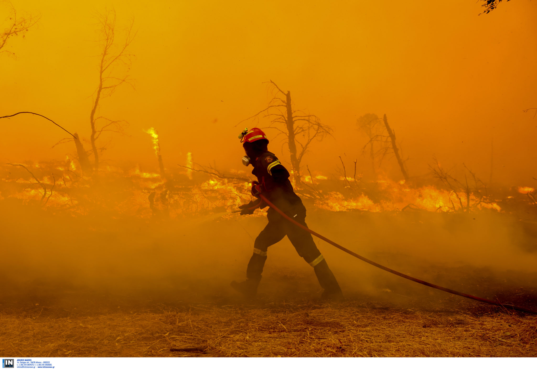 φωτιά Μεσσηνία
