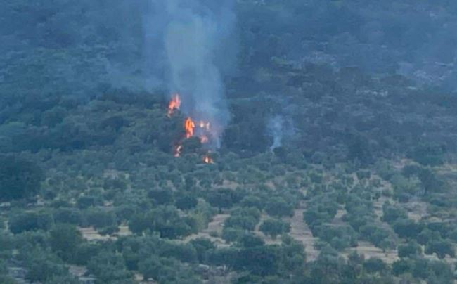 Μεσσηνία: Βελτιωμένη η εικόνα της φωτιάς στη Μεταμόρφωση – ΒΙΝΤΕΟ