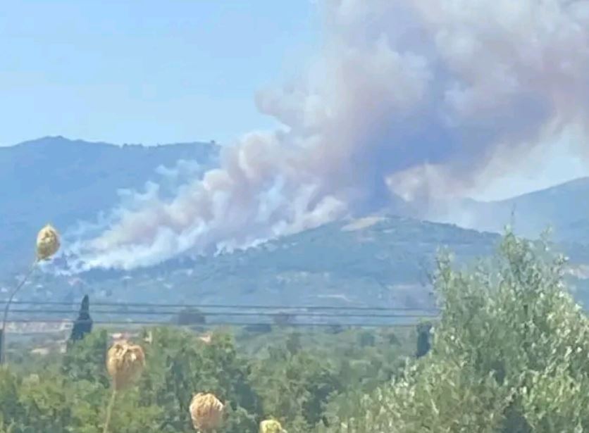 φωτιά, Μεσσηνία