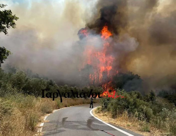 Μεσσηνία φωτιά