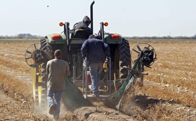 ΗΠΑ ΜΕΤΑΝΑΣΤΕΣ
