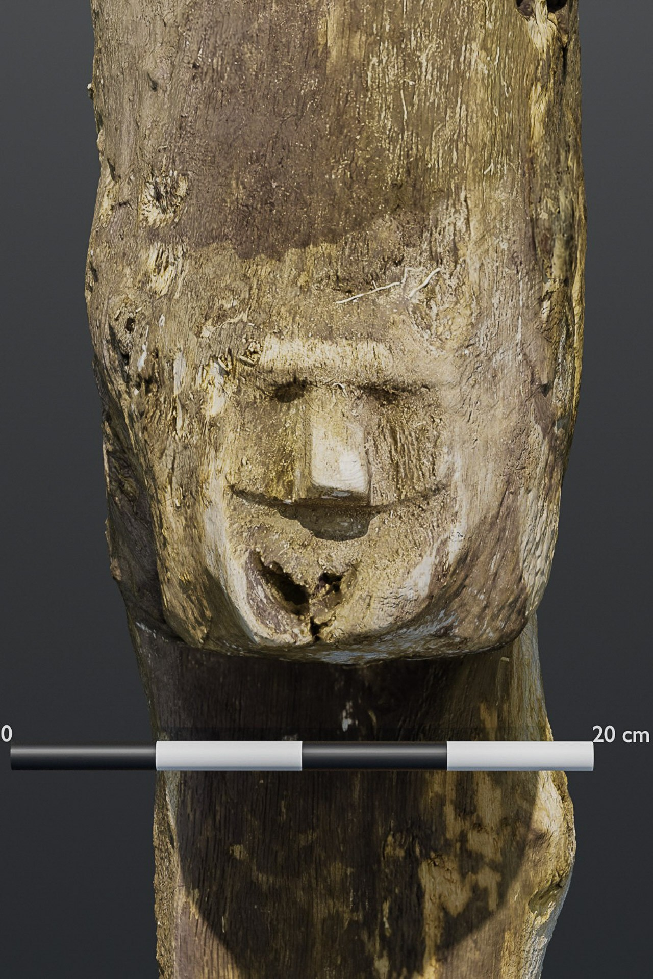 Το λαξευτό πρόσωπο διασώθηκε κάτω από το νερό της λίμνης από τον μεσαίωνα. Φωτογραφία: Muzeum Pierwszych Piastów na Lednicy