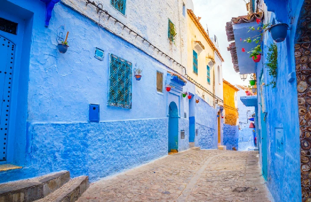 οπτική ψευδαίσθηση γάτα