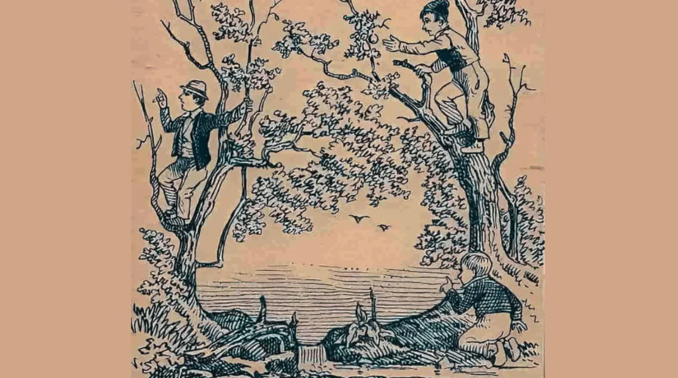 οπτική ψευδαίσθηση