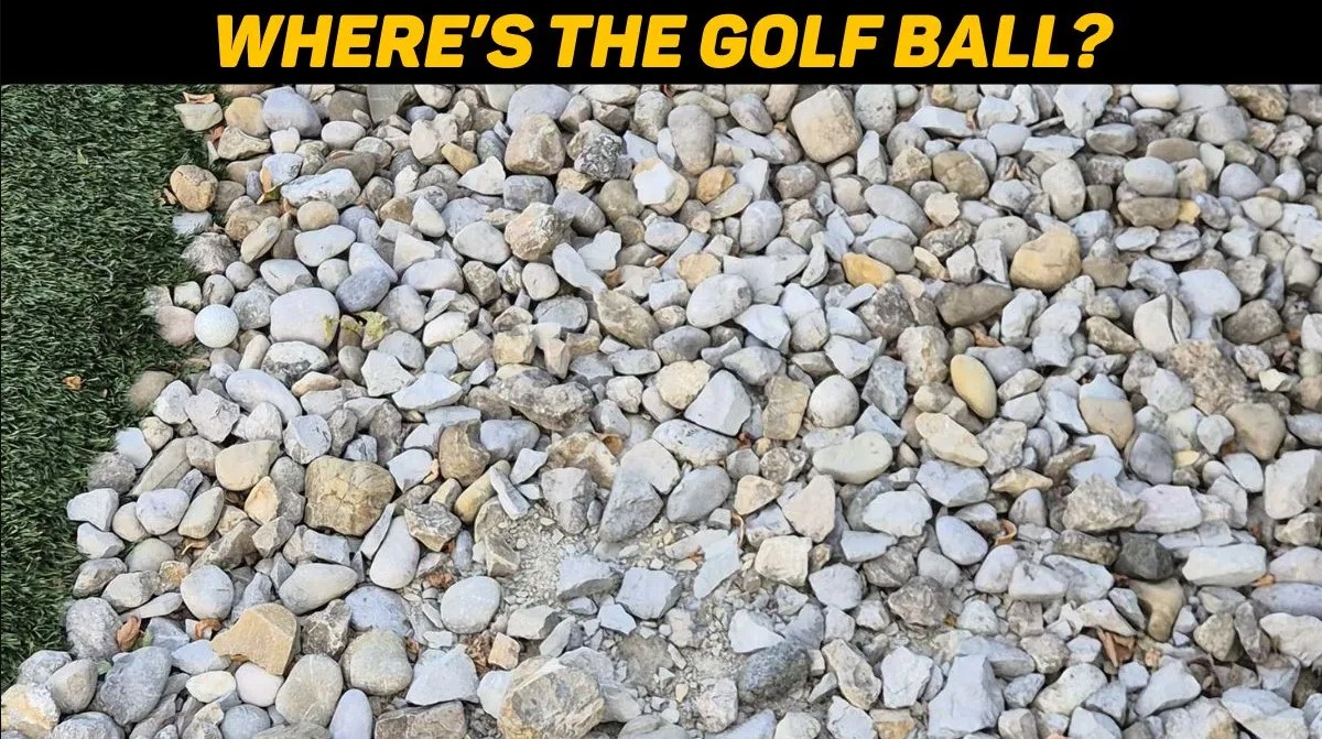 Οπτική ψευδαίσθηση: Μόνο το 1% των ανθρώπων μπορεί να βρει την μπάλα του γκολφ σε 10 δευτερόλεπτα