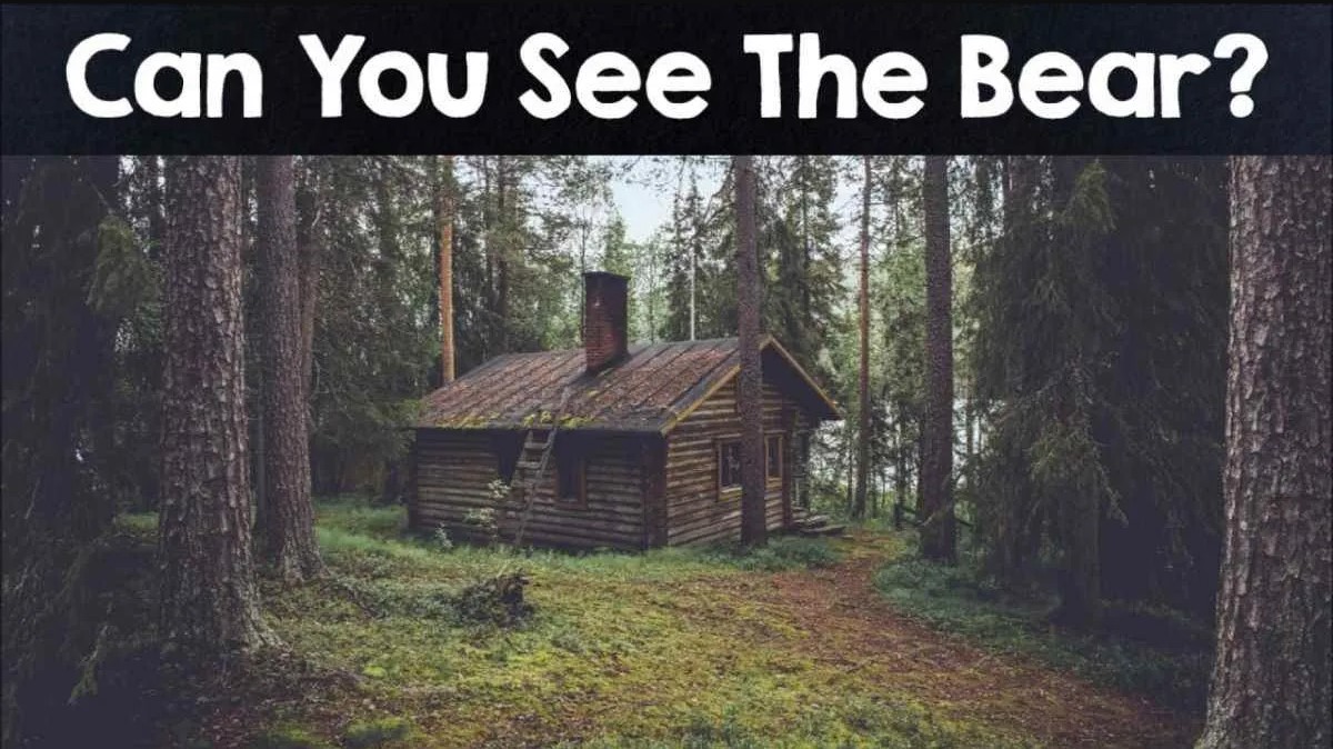 Οπτική ψευδαίσθηση: Μόνο αν έχεις παρατηρητικότητα ντετέκτιβ θα βρεις την αρκούδα σε 7 δευτερόλεπτα