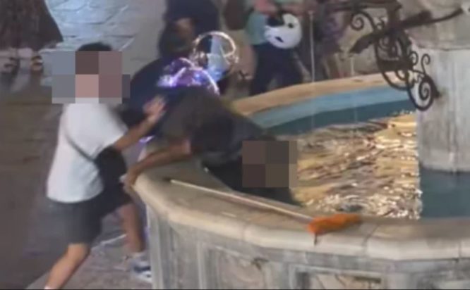 ΡΟΔΟΣ ΑΣΤΕΓΟΣ