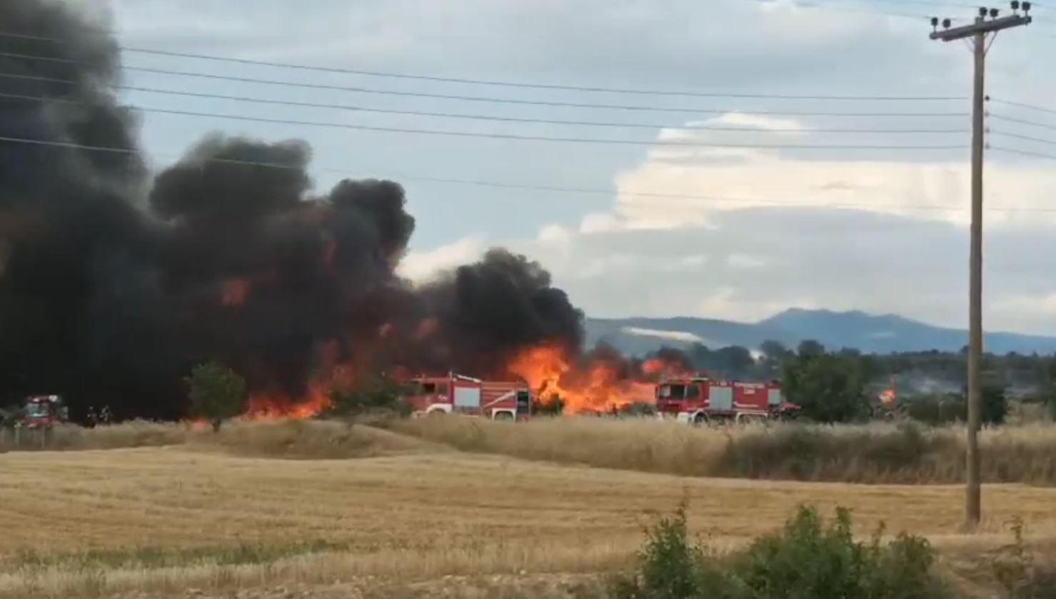 Φωτιά στις Σέρρες: Ήχησε το 112 – «Παραμείνετε σε ετοιμότητα»