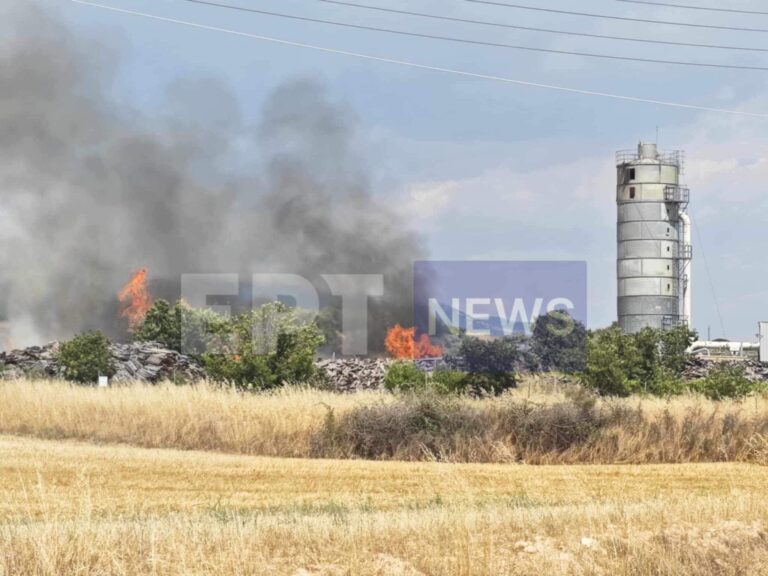Φωτιά σε εργοστάσιο ξυλείας στις Σέρρες – ΦΩΤΟ και ΒΙΝΤΕΟ