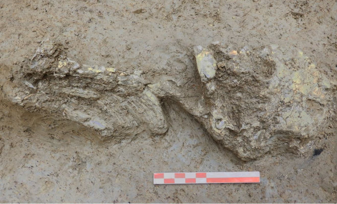 Λεπτομέρειες των ευρημάτων από το σημείο της ανακάλυψης.