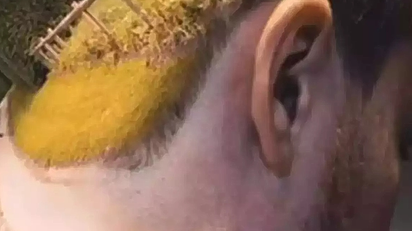 Τεστ προσωπικότητας: Αυτό που βλέπετε πρώτα στην εικόνα αποκαλύπτει αν είστε τυχεροί ή αν δυσκολεύεστε στη ζωή