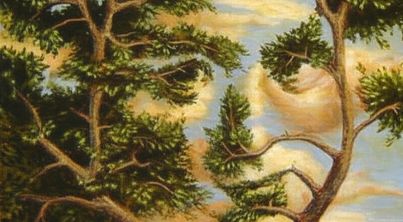 Τεστ προσωπικότητας: Αυτό που βλέπετε πρώτα στην εικόνα αποκαλύπτει πώς σκέφτεστε