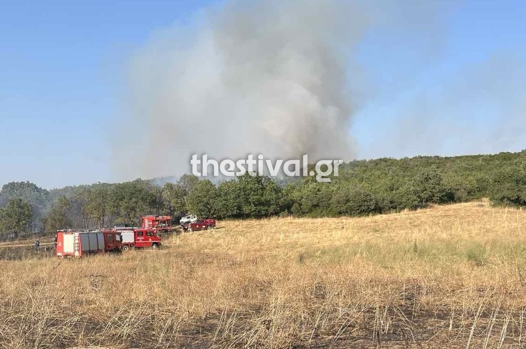 Θεσσαλονίκη: Δασική φωτιά στο Φίλυρο – Ήχησε το 112