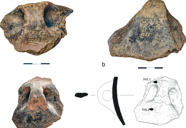 Θηρασιά σφραγίδες