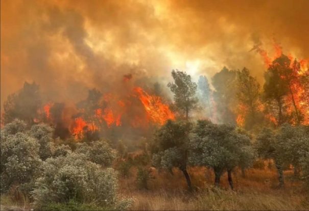 Τουρκία, Φωτιά