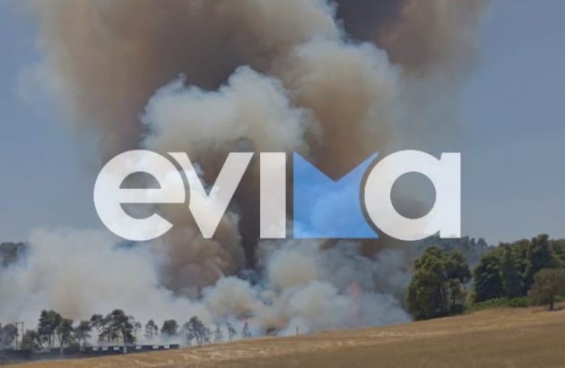 Φωτιά σε δασική έκταση στην Εύβοια – Επιχειρούν και εναέρια μέσα 