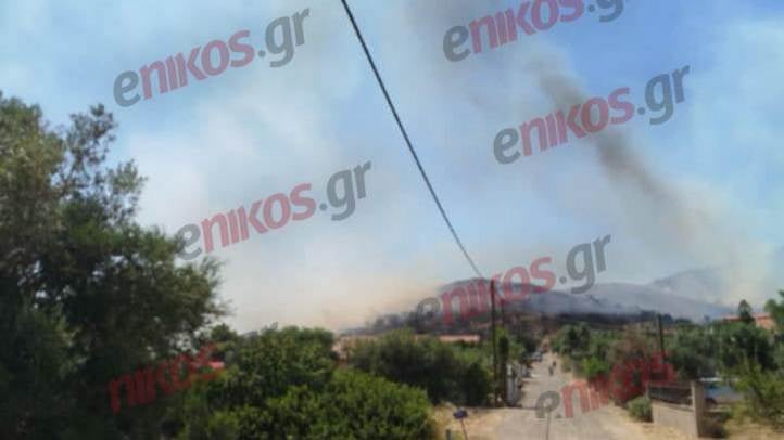 Φωτιά στην Αλυκή Βοιωτίας – Μήνυμα για εκκένωση του οικισμού, ενισχύθηκαν οι δυνάμεις πυρόσβεσης – ΦΩΤΟ και ΒΙΝΤΕΟ αναγνώστη