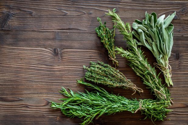 βότανο των δράκων