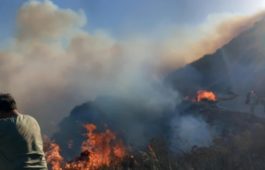 Φωτιά, Χανιά