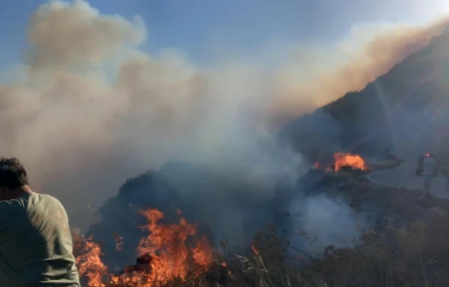 Φωτιά, Χανιά