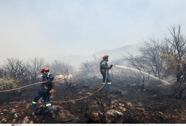 φωτιά, Ζωγράφου, Αττική, Πανεπιστημιούπολη