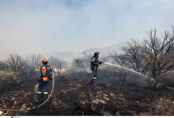 φωτιά, Ζωγράφου, Αττική, Πανεπιστημιούπολη